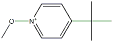4-tert-Butyl-1-methoxypyridin-1-ium Struktur