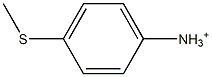 p-(Methylthio)anilinium Structure