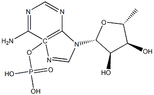 5-adenosine monophosphate