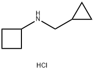 N-(环丙基甲基)环丁胺盐酸盐, 1010097-75-2, 结构式