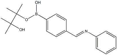 4-(苯基亚胺甲基) 苯硼酸频哪酯 结构式