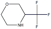 3-(trifluoromethyl)morpholine Struktur