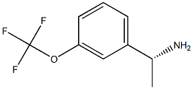 (1R)-1-[3-(TRIFLUOROMETHOXY)PHENYL]ETHYLAMINE Structure