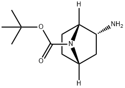 (1R,2R,4S)-2-氨基-7-氮杂双环[2.2.1]庚烷-7-羧酸叔丁酯 结构式