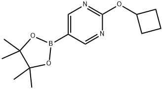 2-cyclobutoxy-5-(4,4,5,5-tetramethyl-1,3,2-dioxaborolan-2-yl)pyrimidine 化学構造式