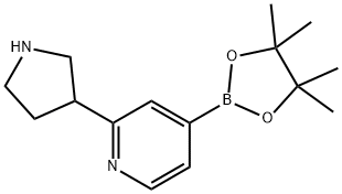 4-(4,4,5,5-tetraMethyl-1,3,2-dioxaborolan-2-yl)-2-(pyrrolidin-3-yl)pyridine,1356066-15-3,结构式