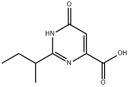 1368688-79-2 2-(sec-butyl)-6-hydroxypyrimidine-4-carboxylic acid