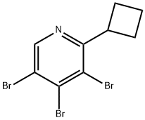2-Cyclobutyl-3,4,5-tribromopyridine 结构式