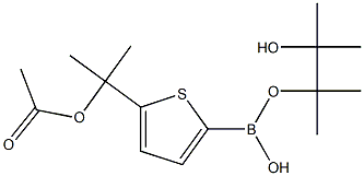5-(1-Methyl-1-acetoxyethyl)thiophene-2-boronic acid pinacol ester|2-(5-(羟基((3-羟基-2,3-二甲基丁烷-2-基)氧基)硼烷基)噻吩-2-基)丙烷-2-基乙酸