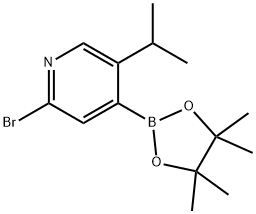 1402233-24-2 2-Bromo-5-(iso-propyl)pyridine-4-boronic acid pinacol ester