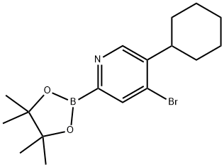 4-Bromo-5-(cyclohexyl)pyridine-2-boronic acid pinacol ester Struktur