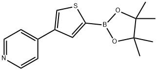 3-羟基-2,3-二甲基丁烷-2-基氢(4-(吡啶-4-基)噻吩-2-基)硼酸酯, 1402240-72-5, 结构式
