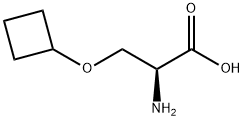(2S)-3-cyclobutoxy-2-({[(9H-fluoren-9-yl)methoxy]carbonyl}amino)propanoic acid, 1509911-79-8, 结构式