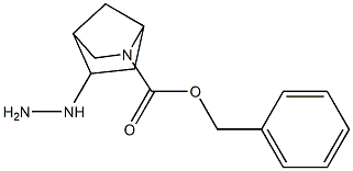 benzyl 5-hydrazinyl-2-azabicyclo[2.2.1]heptane-2-carboxylate,1609467-59-5,结构式