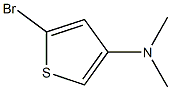 2-Bromo-4-(dimethylamino)thiophene Structure