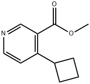 Methyl 4-cyclobutylpyridine-3-carboxylate Struktur