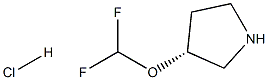 (R)-3-(二氟甲氧基)吡咯烷盐酸盐 结构式