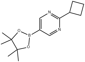 2-cyclobutyl-5-(4,4,5,5-tetramethyl-1,3,2-dioxaborolan-2-yl)pyrimidine Struktur