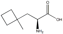 (2S)-2-amino-3-(1-methylcyclobutyl)propanoic acid Structure