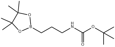 N-[3-(四甲基-1,3,2-二氧杂硼戊烷-2-基)丙基]氨基甲酸叔丁基酯 结构式