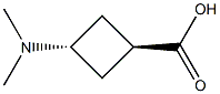 trans-3-(dimethylamino)cyclobutane-1-carboxylic acid Struktur