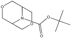 3,7-二氧杂-9-氮杂双环[3.3.1]壬烷-9-羧酸叔丁酯 结构式