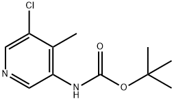 tert-Butyl (5-chloro-4-methylpyridin-3-yl)carbamate,2028656-97-3,结构式