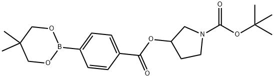 1-Pyrrolidinecarboxylic acid, 3-[[4-(5,5-dimethyl-1,3,2-dioxaborinan-2-yl)benzoyl]oxy]-, 1,1-dimethylethyl ester 化学構造式