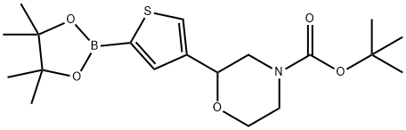 tert-butyl 2-(5-(4,4,5,5-tetramethyl-1,3,2-dioxaborolan-2-yl)thiophen-3-yl)morpholine-4-carboxylate|