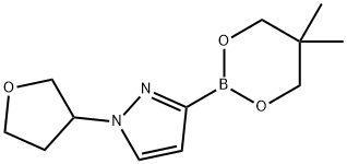 N-(Oxolan-3-yl)imidazole-3-boronic acid neopentylglycol ester 结构式