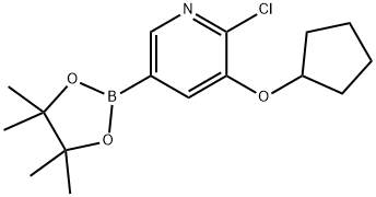 6-Chloro-5-(cyclopentoxy)pyridine-3-boronic acid pinacol ester Struktur