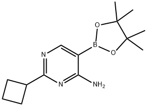 4-Amino-2-(cyclobutyll)pyrimidine-5-boronic acid pinacol ester Struktur