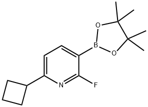 2-Fluoro-6-(cyclobutyl)pyridine-3-boronic acid pinacol ester 化学構造式