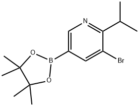 3-bromo-2-isopropyl-5-(4,4,5,5-tetramethyl-1,3,2-dioxaborolan-2-yl)pyridine Struktur