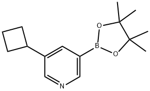 5-(Cyclobutyl)pyridine-3-boronic acid pinacol ester Structure