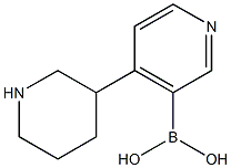 2225152-07-6 4-(Piperidin-3-yl)pyridine-3-boronic acid