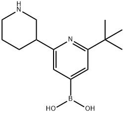 2-(tert-Butyl)-6-(piperidin-3-yl)pyridine-4-boronic acid Struktur