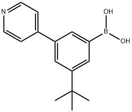3-(tert-Butyl)-5-(pyridin-4-yl)phenylboronic acid Structure