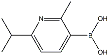 2-Methyl-6-(iso-propyl)pyridine-3-boronic acid Structure