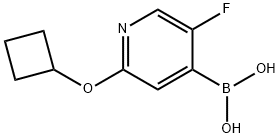 2225179-65-5 5-Fluoro-2-(cyclobutoxy)pyridine-4-boronic acid