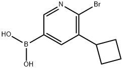 2225181-47-3 6-Bromo-5-(cyclobutyl)pyridine-3-boronic acid