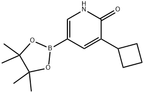 3-cyclobutyl-5-(4,4,5,5-tetramethyl-1,3,2-dioxaborolan-2-yl)pyridin-2(1H)-one 结构式