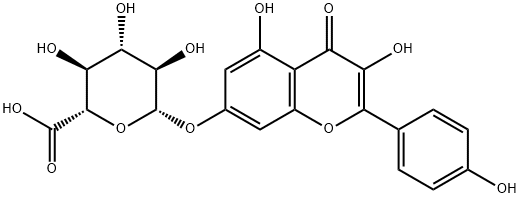 (2S,3S,4S,5R,6S)-6-((3,5-dihydroxy-2-(4-hydroxyphenyl)-4-oxo-4H-chromen-7-yl)oxy)-3,4,5-trihydroxytetrahydro-2H-pyran-2-carboxylic acid Struktur