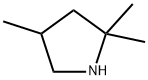 2,2,4-trimethylpyrrolidine,35018-28-1,结构式