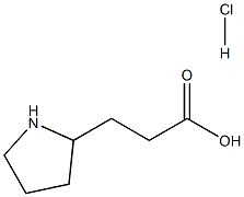 3-(pyrrolidin-2-yl)propanoic acid hydrochloride Struktur