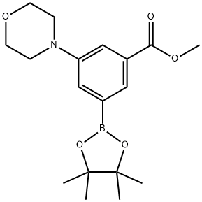 methyl 3-morpholino-5-(4,4,5,5-tetramethyl-1,3,2-dioxaborolan-2-yl)benzoate 结构式