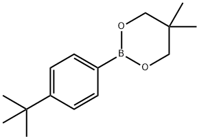 4-叔丁基苯硼酸新戊二醇酯, 905966-37-2, 结构式