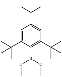 二甲氧基(2,4,6-三叔丁基苯基)甲硼烷,96110-06-4,结构式