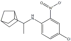 N-(1-{bicyclo[2.2.1]heptan-2-yl}ethyl)-4-chloro-2-nitroaniline,,结构式