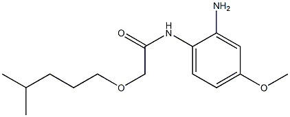 N-(2-amino-4-methoxyphenyl)-2-[(4-methylpentyl)oxy]acetamide